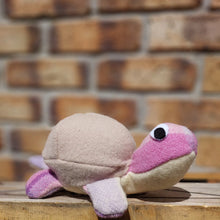 Load image into Gallery viewer, Tiny Tim the Turtle Toy